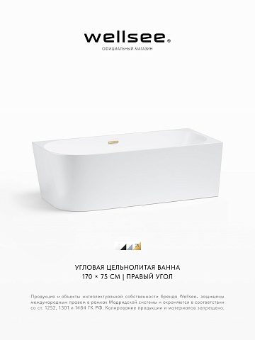 Акционный набор 2 в 1 Wellsee Excellence Pro акриловая ванна пристенная 170x75 с сифоном 28761104R