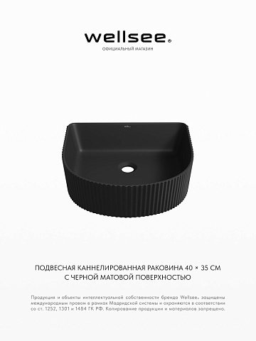 Накладная/подвесная раковина для ванной Wellsee Festive Fox 317305000