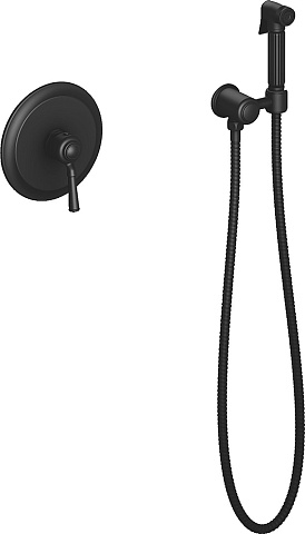 Смеситель встроенный с гигиеническим душем Timo Arisa 5309/03SM
