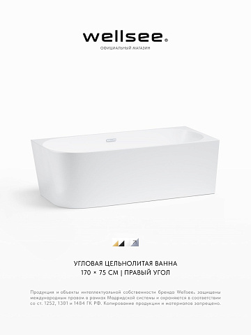 Акционный набор 2 в 1 Wellsee Excellence Pro акриловая ванна пристенная 170x75 с сифоном 28761101R