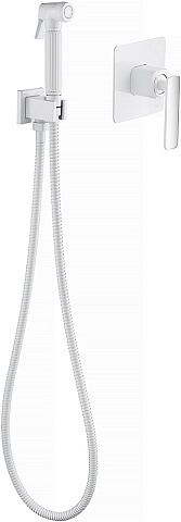 Смеситель встроенный с гигиеническим душем Timo Torne 4389/00-16SM