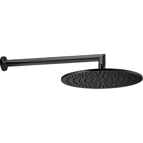CISAL Shower Верхний душ D300 мм с настенным держателем L400 мм, цвет черный матовый, DS01362040