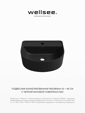 Накладная/подвесная раковина для ванной Wellsee Festive Fox 317308000