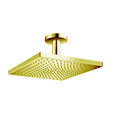 Hansgrohe HG Raindance Верхний душ, 300х300мм, 1 jet, потолочный держателем, цвет: золото, 26250990