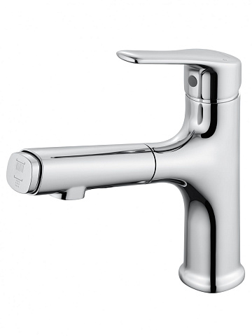 Смеситель для раковины с выдвижным изливом WONZON & WOGHAND, Хром WW-AE4151-CR