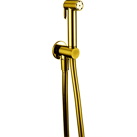 CISAL Shower Гидроершик со шлангом 120 см,вывод с держателем, цвет золото (акция на товар из наличия), A300791024