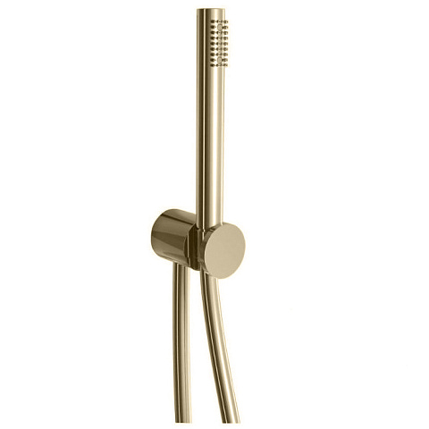 Fantini AF/21 Душевой набор: вывод воды 1/2”, шланг 150 см, ручная лейка FIT, держатель для лейки, цвет: Matt British Gold PVD, 81 P6 8061