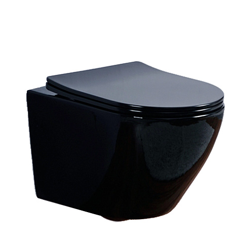 Унитаз подвесной Olive's Plaza PL30117DP