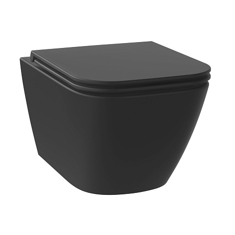 Подвесной унитаз Wellsee Quaint RimFree, матовый черный, сиденье дюропласт, soft close (182604000, 182618000) 182604001