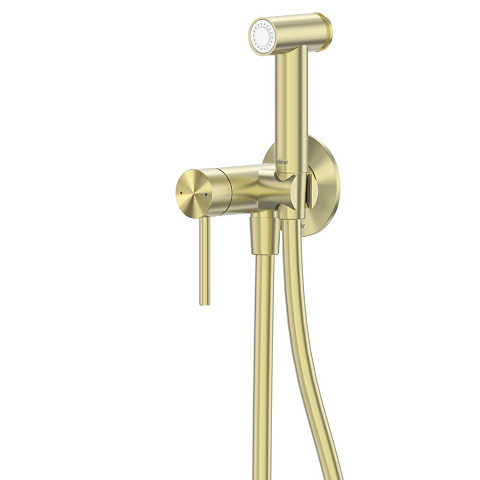 Смеситель ABBER Wasser Kreis 316 AF8125BG с гигиеническим душем, брашированное золото