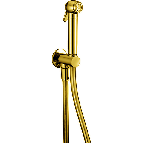 CISAL Shower Гигиенический душ со шлангом 120 см,вывод с держателем, цвет золото (акция на товар из наличия), SC00791024 Акция