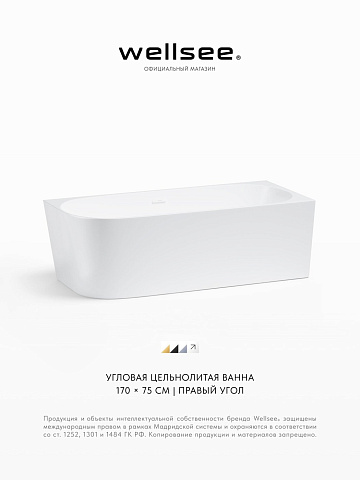 Акционный набор 2 в 1 Wellsee Excellence Pro акриловая ванна пристенная 170x75 с сифоном 28761102R