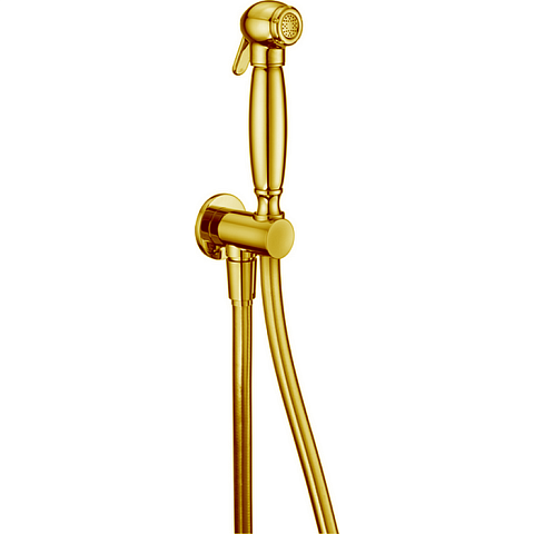 CISAL Arcana Гигиенический душ, цвет золото, AR00791024